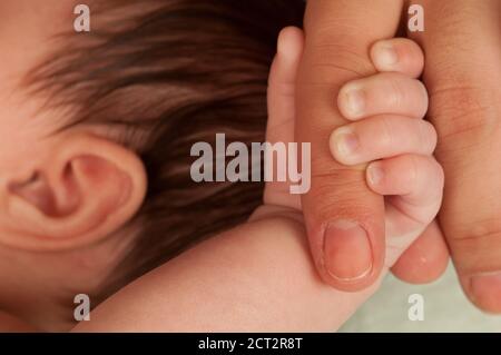 1 mese di bambino neonato ragazza closeup di stretta afferrare sul dito della madre Foto Stock