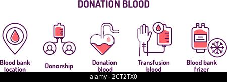 Icone delle linee colorate per la donazione di sangue. Campagna salvavalvole. Pittogrammi per Web, app mobile, promo. Elementi di progettazione UI UX. Tratto modificabile. Illustrazione Vettoriale