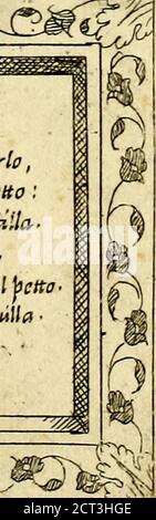 . Imprese nobili et ingeniose di diversi prencipi, et d'altri personaggi illustri nell'arme et nelle lettere : le quali, col disegno loro estrinaco, dimostrano l'animo, et la buona ò mala fortuna de gli autori loro . Foto Stock