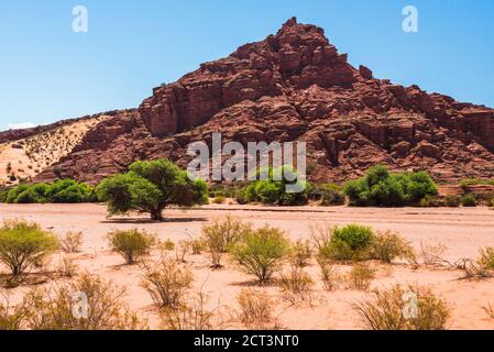 Gole di Talampaya al Parco Nazionale di Talampaya, provincia di la Rioja, Argentina del Nord (Patrimonio Mondiale dell'UNESCO), Sud America Foto Stock