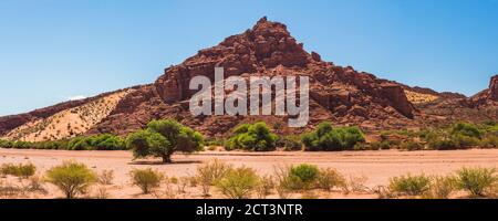 Gole di Talampaya al Parco Nazionale di Talampaya, provincia di la Rioja, Argentina del Nord (Patrimonio Mondiale dell'UNESCO), Sud America Foto Stock