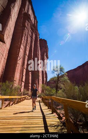 Turismo a Talampaya Gorge, Talampaya National Park (Parque Nacional de Talampaya), la Rioja Provincia, Argentina del Nord, Sud America Foto Stock