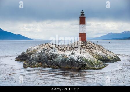 Faro di Les Eclaireurs e colonia cormorante su un'isola nel canale di Beagle, Ushuaia, Tierra del Fuego, Argentina, Sud America Foto Stock