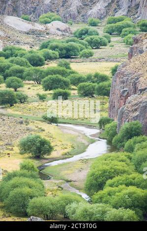 Gola a Cueva de las Manos (Grotta delle mani), Provincia di Santa Cruz, Patagonia, Argentina, Sud America Foto Stock