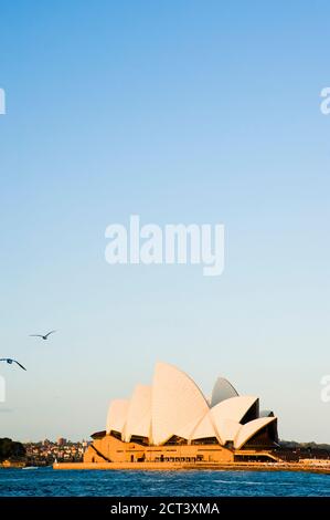 Foto della Sydney Opera House, Australia, sfondo con spazio per la copia Foto Stock