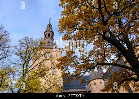 Nel cortile della Cattedrale di Oslo in autunno gli alberi nel giardino delle foglie diventano gialli e arancioni. Bella, la sera il cielo i Foto Stock