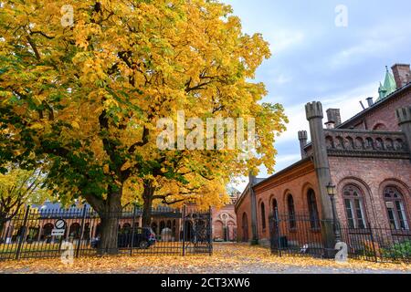 Nel cortile della Cattedrale di Oslo in autunno gli alberi nel giardino delle foglie diventano gialli e arancioni. Bella, la sera il cielo i Foto Stock