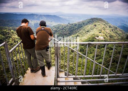 Mashpi Cloud Forest torre di osservazione alta 26 m, Choco Rainforest, Ecuador, Sud America Foto Stock