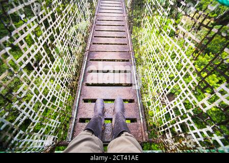 Amazon Rainforest Canopy Walk a Sacha Lodge, Coca, Ecuador, Sud America Foto Stock