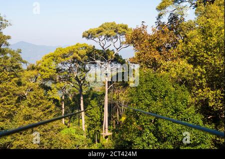 Jungle Landscape a Jungle Flight, Chiang mai, Thailandia, Sud-est asiatico Foto Stock