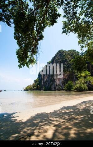 Carso calcareo a East Railay Beach, Thailandia del Sud, Asia sudorientale Foto Stock