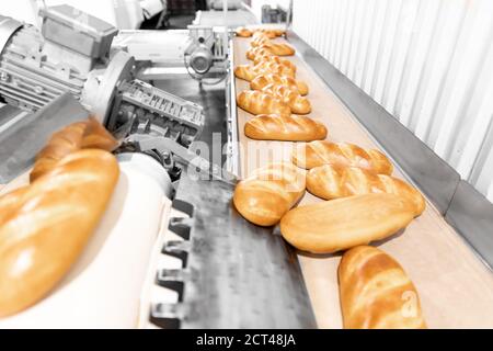 Pane cotto sulla linea di produzione automatica panetteria da forno caldo Foto Stock