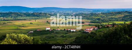 La Slovenia regione viticola campagna, Goriska Brda (Gorizia Hills), Slovenia, Europa Foto Stock