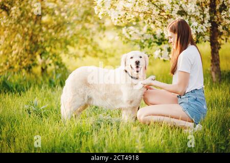 Bella donna cinologa giocare con il suo cane Labrador Retriever dare paw nel parco estivo Foto Stock