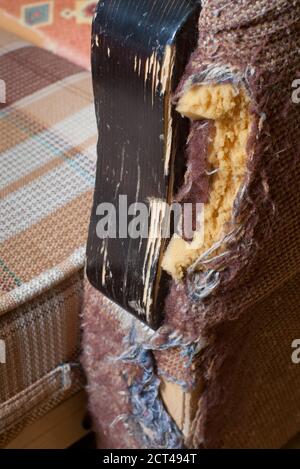 Angolo strappato e graffiato di un divano da animale domestico con messa a fuoco selettiva Foto Stock