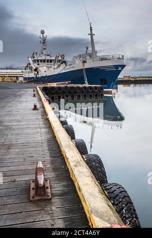 Porto di pesca a Hofn, regione dei fiordi orientali (Austurland), Islanda, Europa Foto Stock