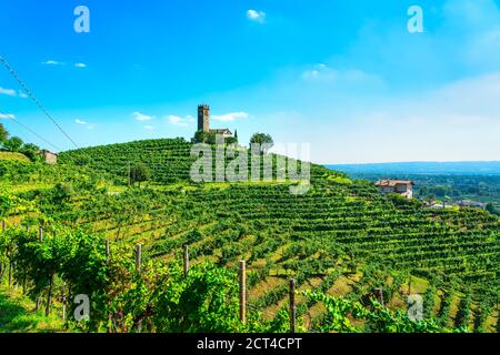 Colline del Prosecco, vigneti e chiesa di San Lorenzo. Sito UNESCO. Farra di Soligo. Veneto, Italia, Europa. Foto Stock