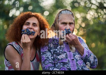 Madre e figlia contadini che mangiano uva al tramonto nel frutteto Foto Stock