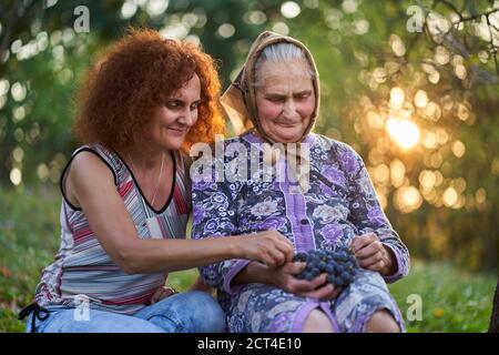 Madre e figlia contadini che mangiano uva al tramonto nel frutteto Foto Stock