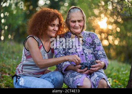 Madre e figlia contadini che mangiano uva al tramonto nel frutteto Foto Stock