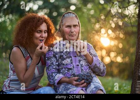 Madre e figlia contadini che mangiano uva al tramonto nel frutteto Foto Stock