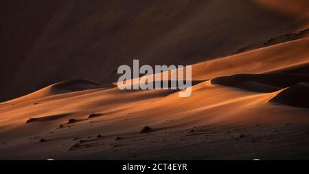 Astratto contrastato delle dune di sabbia rossa ricche di ossidi nel grande mare di sabbia della Namibia. Foto Stock