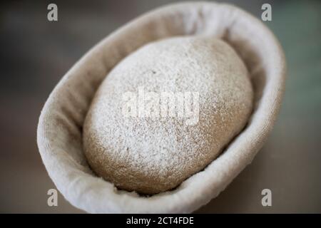 Impasto di pane di segale nel cestello per prove Foto Stock