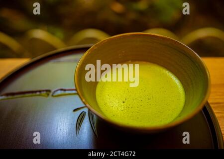 Tè verde giapponese a Hokokuji in Kamakura palmare Foto Stock