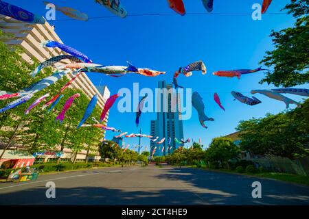 Carpa streamer al parco di Tokyo giorno soleggiato Foto Stock