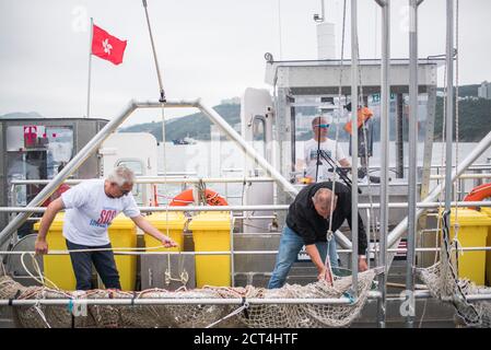 Seekuh su un oceano pulito gestito dalla beneficenza One Earth One Ocean, Hong Kong, Cina Foto Stock