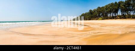 Spiaggia di sabbia bianca di Galgibag, con sabbia dorata e cielo blu, Goa meridionale, India Foto Stock