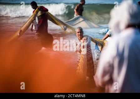 Pescatori che tirano in enormi reti da pesca lunghe a Kappil Beach, Varkala, Kerala, India Foto Stock