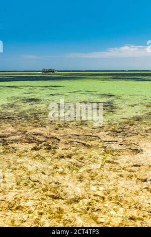 Watamu Bay Beach e le acque turchesi dell'Oceano Indiano, Watamu, Contea di Kilifi, Kenya Foto Stock