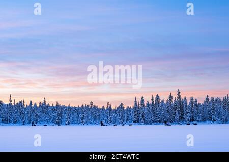 Torassieppi paesaggio invernale sul lago ghiacciato al tramonto, Lapponia, Finlandia Foto Stock