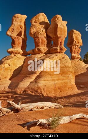 Hoodoos al Giardino del Diavolo a grande scala Escalante National Monument, Colorado Plateau, Utah, Stati Uniti d'America Foto Stock