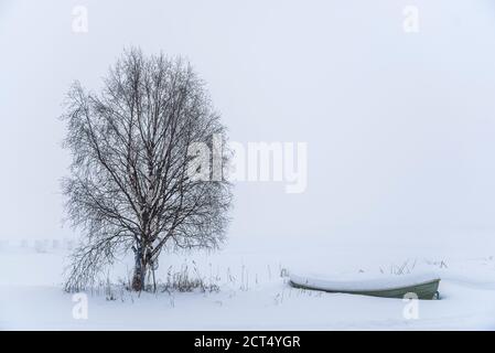 Paesaggio invernale bianco sgarbato, mistoso e minimalista, innevato nei pressi di Akaslompolo, Lapponia finlandese, Finlandia Foto Stock