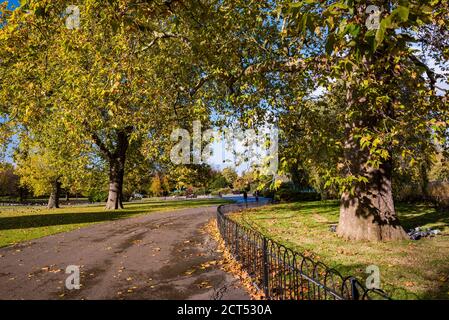 Autunno a Regents Park, uno dei parchi reali di Londra, Inghilterra Foto Stock