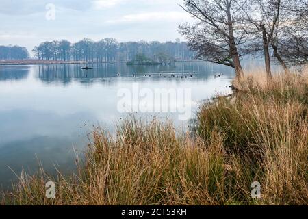 PEN Stonds, i laghi di Richmond Park, Londra, Inghilterra