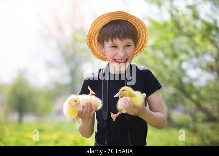 Felice ragazzo che tiene anatroccoli sullo sfondo della natura. Bambini e anatroccoli. Foto Stock