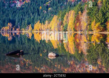 Contea di Harghita, Romania. Paesaggio autunnale al lago di Saint Anne (SF Ana). Foto Stock