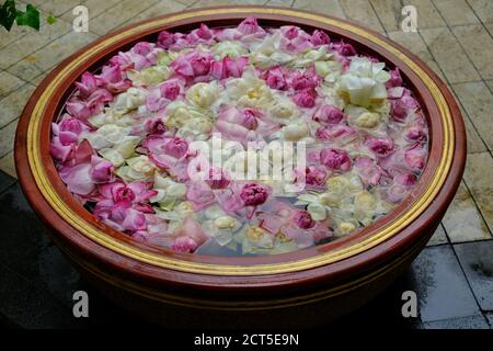 Sri Lanka Colombo - Bowl di fiori con fiori di loto (Nelumbo nucifera) a Gangaramaya Tempel Foto Stock