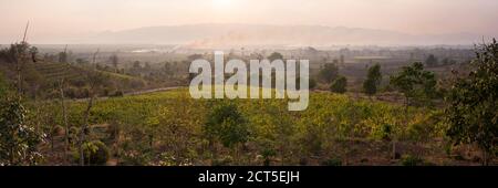 "Red Mountain Estate Vineyards and Winery", lago Inle, vicino Nyaungshwe, Shan state, Myanmar (Birmania) Foto Stock