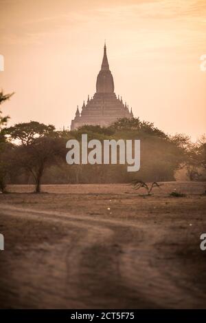 Tempio Sulamani nei Templi di Bagan (Pagan) all'alba, Myanmar (Birmania) Foto Stock