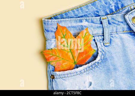 Foglia autunno acero arancio in tasca jeans. Texture denim. Concetto autunnale. Disposizione piatta. Spazio di copia. Primo piano. Foto Stock