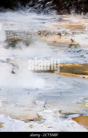 Piscine calde fumanti al Parco Termale Orakei Korako, la Valle nascosta, Isola del Nord, Nuova Zelanda Foto Stock