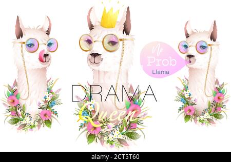 Lama Drama Queen e No Problem Design Collection Illustrazione Vettoriale