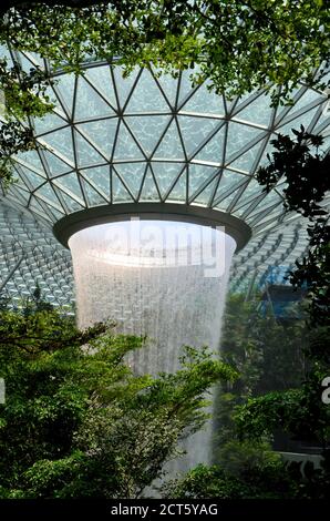 Primo piano vista della cascata circondata da alberi fogliame a. Jewel Changi aeroporto di Singapore Foto Stock