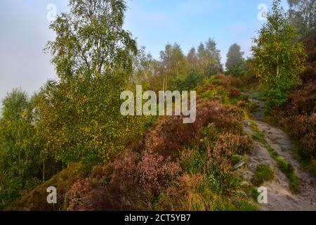 Heather e nuvola inversione da sentiero per Hell Hole Rocks, Heptonstall, Pennines, Yorkshire Foto Stock