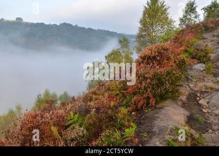 Heather e nuvola inversione da sentiero per Hell Hole Rocks, Heptonstall, Pennines, Yorkshire Foto Stock