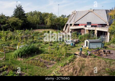 Giardinaggio su terra bonificata, Hexagonn, lettura Foto Stock